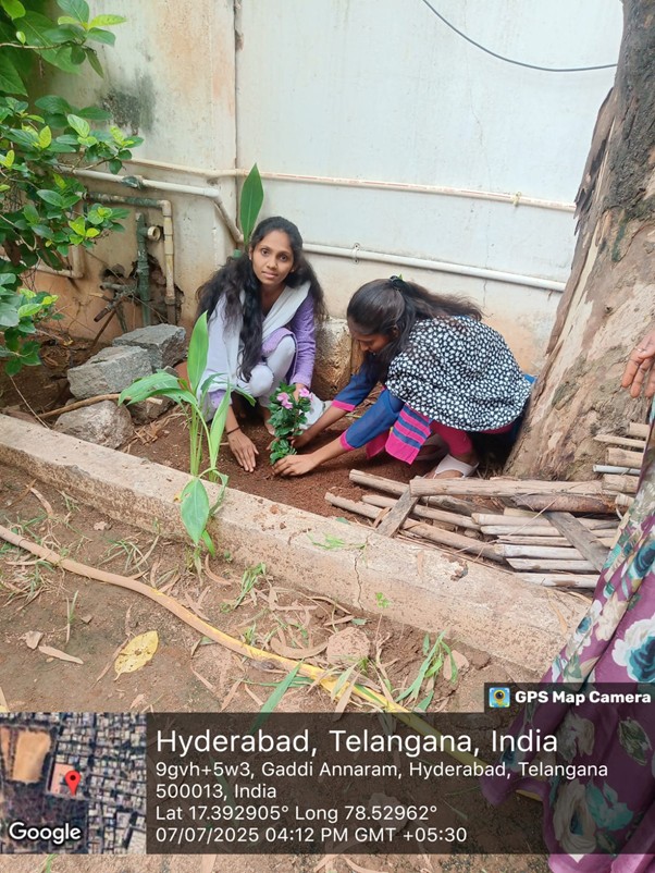 Telangana Vanamahotsavam 07.07.2025